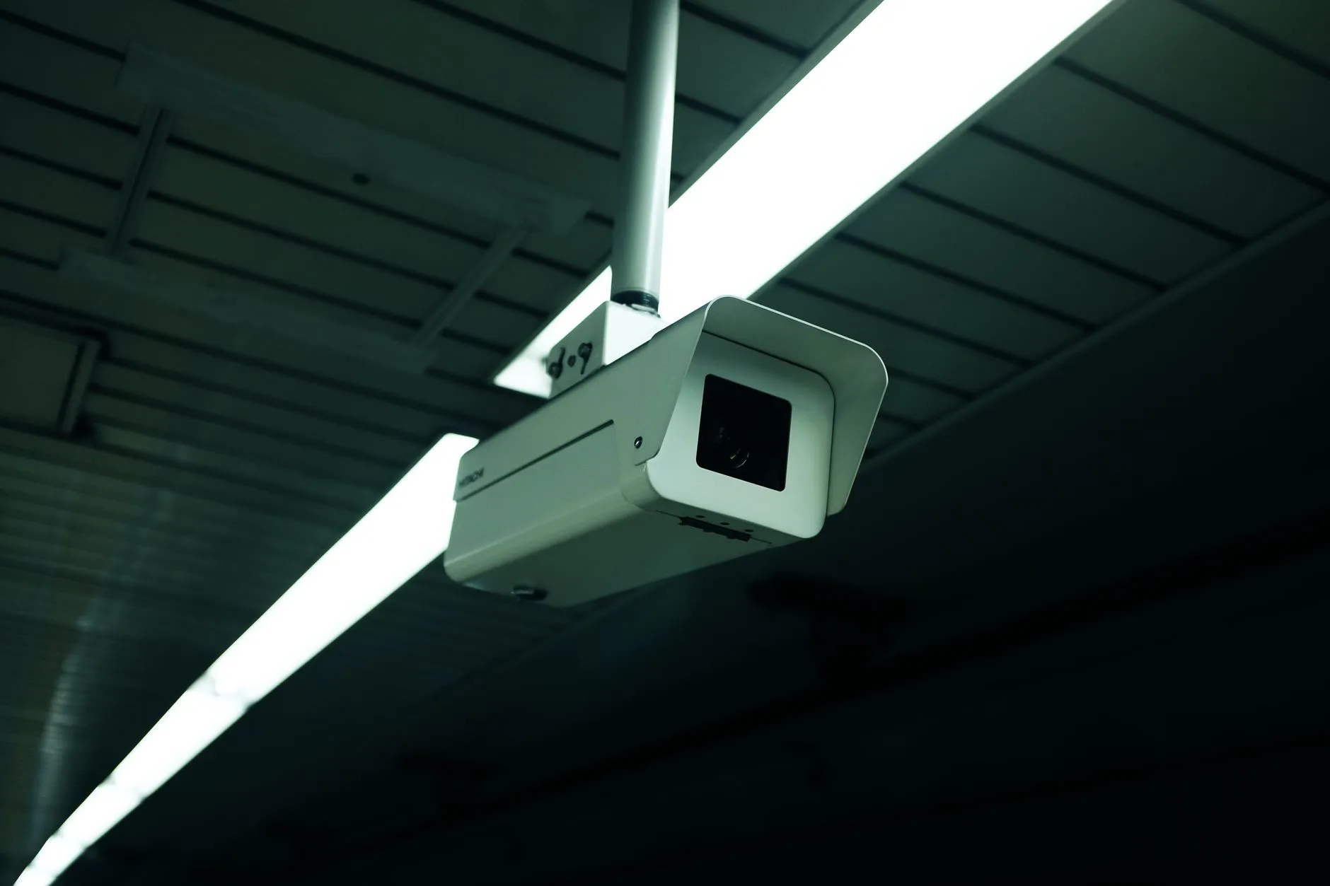 2025年产品定价策略与监测报告撰写要点分析