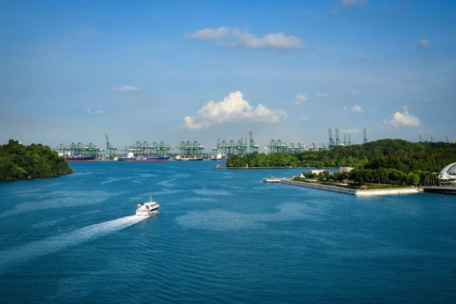 海南中小企业产品定价策略与市场监测报告服务解析